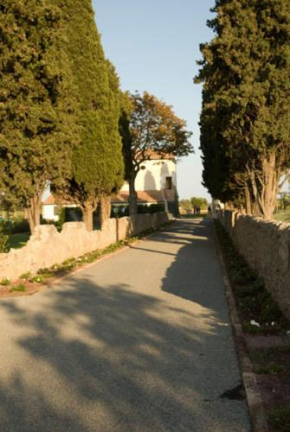 Fonte del Lupo Monte Argentario